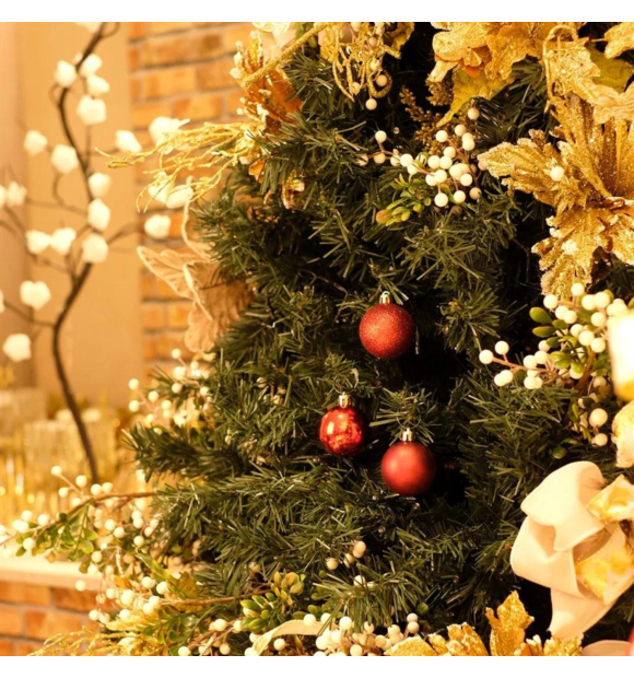 https://decora.futurasistemas.com.br/image/cache/data/eftr/Img_ftr_rp_1250803-580x620.PNG