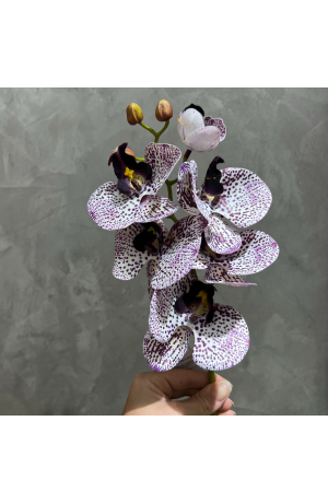 Haste de Orquídea Roxa