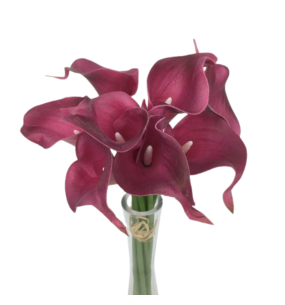 https://decora.futurasistemas.com.br/image/cache/data/eftr/Img_ftr_rp_1313403-580x620.PNG