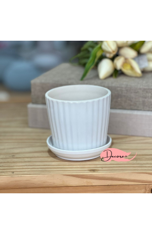 Vaso de Cerâmica com Prato Branco  - 10cm X 10cm