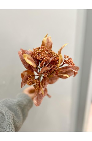 Ramalhete de Eucalipto c/ Semente - 36cm (Artificial)