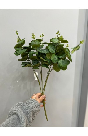 Buquê de Eucalipto Verde Escuro - 50cm