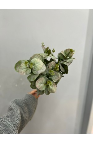 Buquê de Eucalipto Verde Claro - 50cm