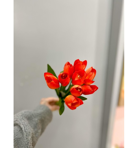 https://decora.futurasistemas.com.br/image/cache/data/eftr/Img_ftr_rp_2237803-580x620.JPEG
