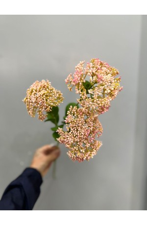 Haste de Telephium Rosa - 58cm ( Artificial )