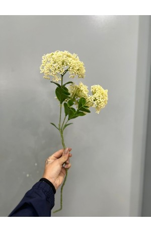 Haste de Telephium Branco - 58cm ( Artificial )