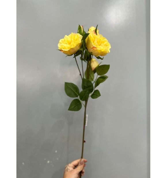 https://decora.futurasistemas.com.br/image/cache/data/eftr/Img_ftr_rp_2241303-580x620.JPEG