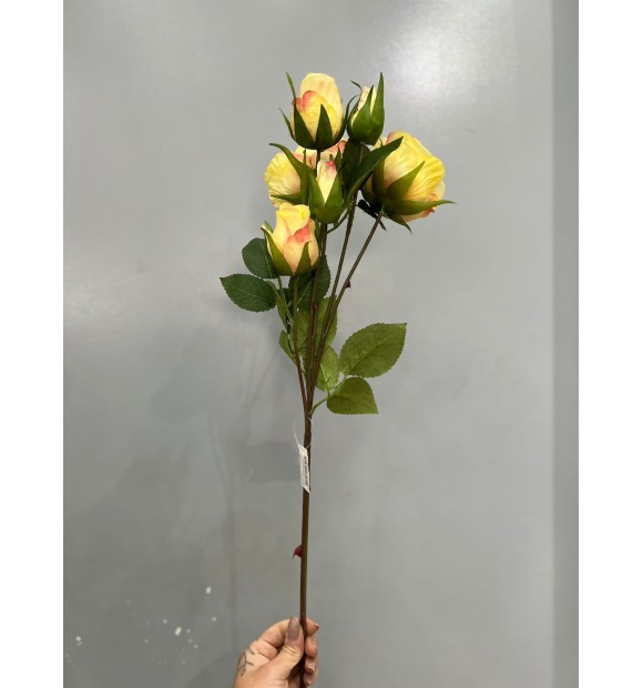 https://decora.futurasistemas.com.br/image/cache/data/eftr/Img_ftr_rp_2241403-580x620.JPEG