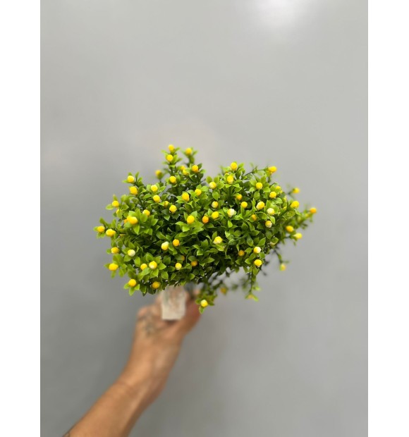 https://decora.futurasistemas.com.br/image/cache/data/eftr/Img_ftr_rp_2280303-580x620.JPEG