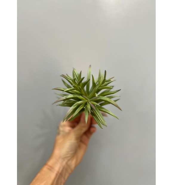 https://decora.futurasistemas.com.br/image/cache/data/eftr/Img_ftr_rp_2282303-580x620.JPEG