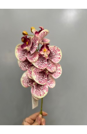 Haste de Orquidea Branca c/ Vinho - 60cm ( Artificial)