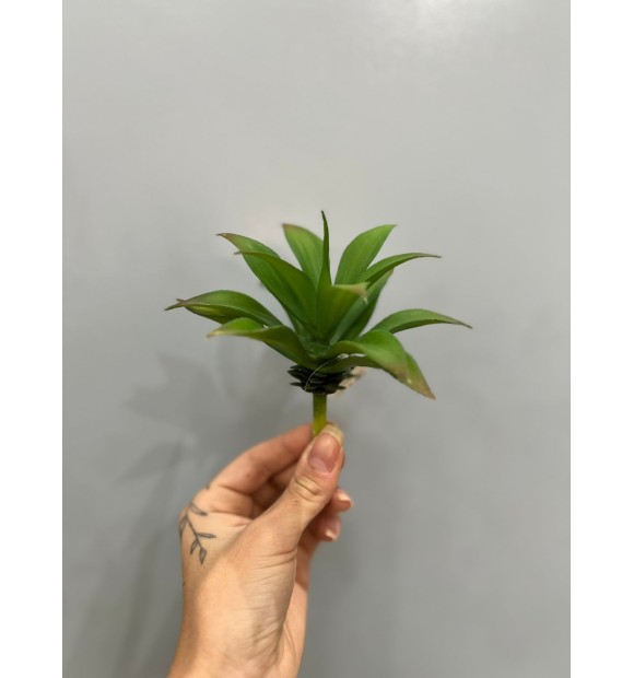 Suculenta Verde ( Artificial ) - 6cm