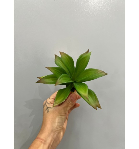 https://decora.futurasistemas.com.br/image/cache/data/eftr/Img_ftr_rp_2283503-580x620.JPEG