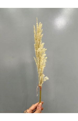 Haste de Capim dos Pampas 70cm - Creme (Artificial)