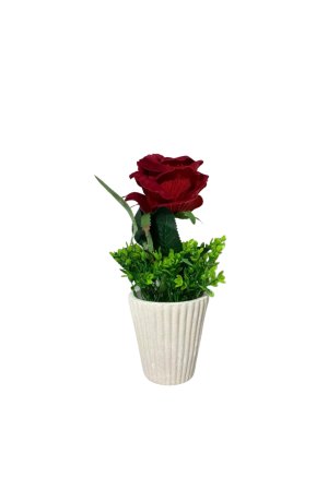 Vaso com Botão de Rosa Vermelho Escuro
