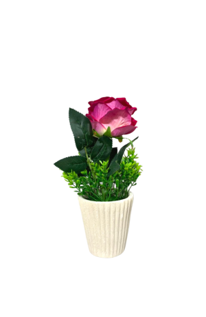 Vaso com Botão de Rosa Mesclada