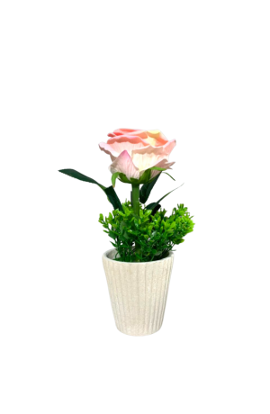 Vaso com Botão de Rosa Claro