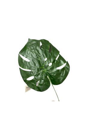 Folha Costela de Adão Artificial