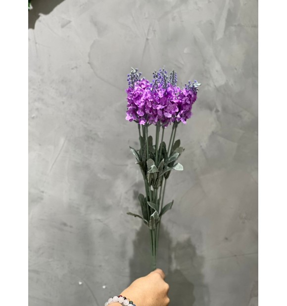 https://decora.futurasistemas.com.br/image/cache/data/eftr/Img_ftr_rp_746903-580x620.JPEG