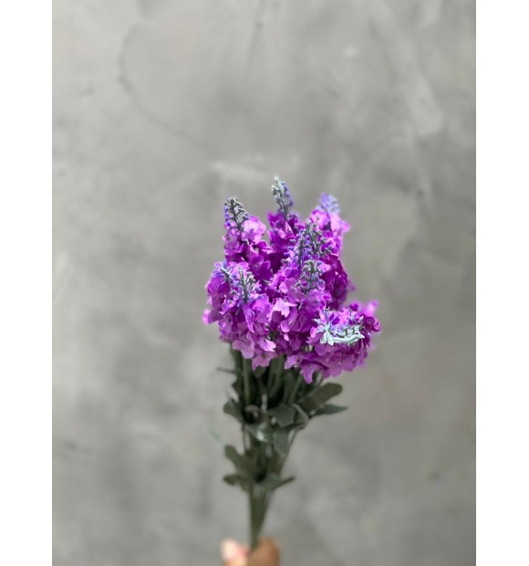 https://decora.futurasistemas.com.br/image/cache/data/eftr/Img_ftr_rp_747003-580x620.JPEG