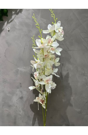 Haste de Orquidea Branca