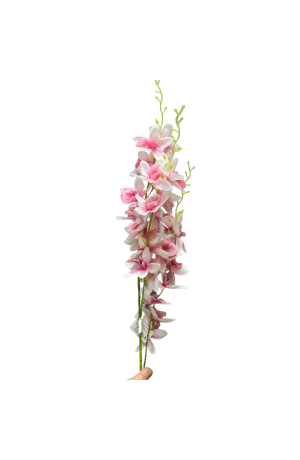 Haste de Orquidea Rosa