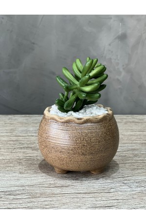 Vaso Areia com Suculenta Redondo Urban MOD.1